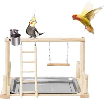 Amazon | インコ 遊び場 鳥の遊び場 止まり木 鳥用 遊び場 おもちゃ